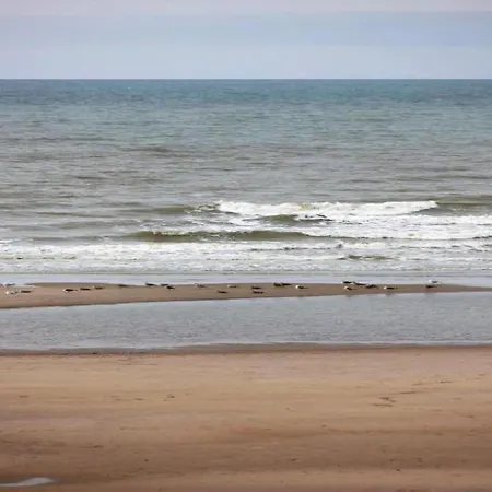 Snug In Close To Sea ウェンドゥイネ